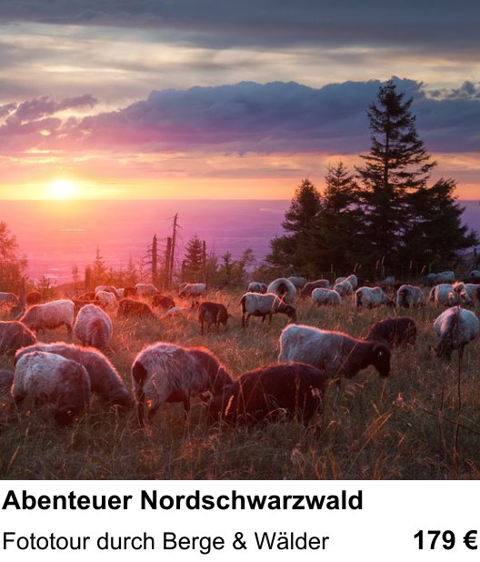 Gestalterischer Fotokurs – Abenteuer Nordschwarzwald und Fototour durch Berge & Wälder