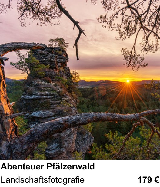 Gestalterischer Fotokurs – Abenteuer Pfälzerwald und Landschaftsfotografie