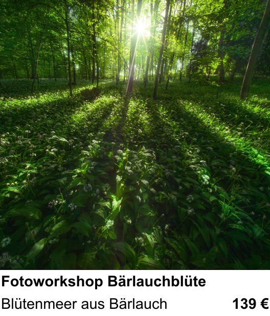 Gestalterischer Fotokurs – Fotoworkshop Bärlauchblüte und Blütenmeer aus Bärlauch