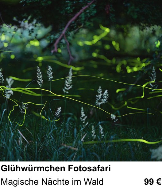 Gestalterischer Fotokurs – Glühwürmchen Fotosafari und Magische Nächte im Wald