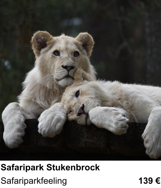 Gestalterischer Fotokurs – Safaripark Stukenbrock und Safariparkfeeling