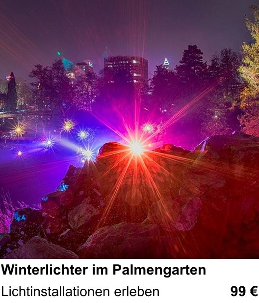 Gestalterischer Fotokurs – Winterlichter im Palmengarten und Lichtinstallationen erleben
